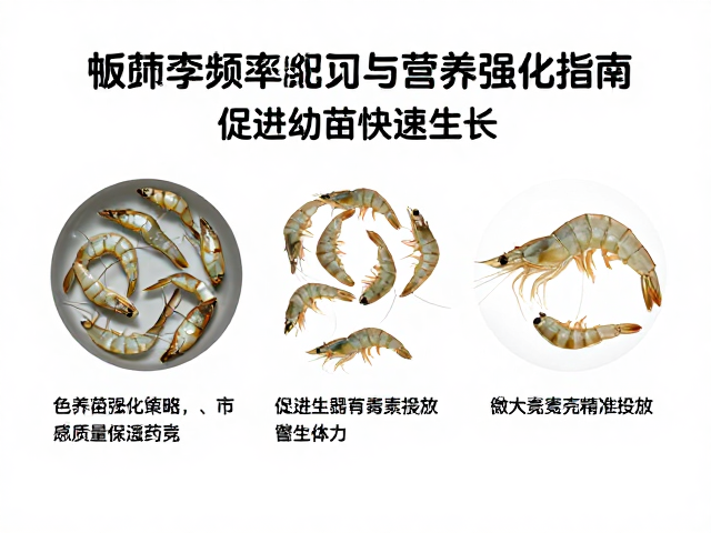 虾苗蜕壳频率统计与营养强化指南，促进幼苗快速生长