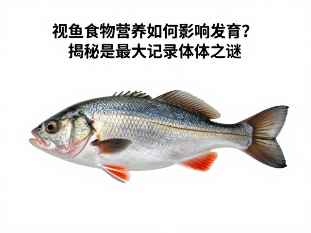 公鱼食物营养如何影响发育？揭秘其最大记录体型之谜