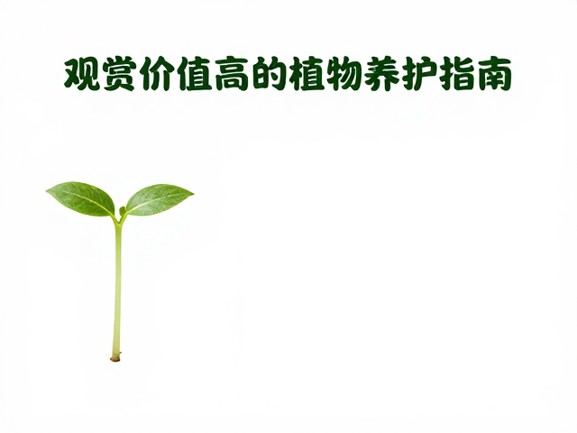 幼苗期易感病？观赏价值高的植物养护指南