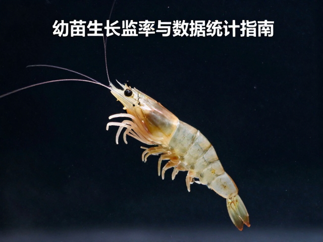 虾苗蜕壳频率与摄食量关系，幼苗生长监测与数据统计指南
