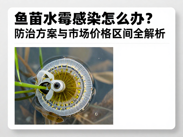 鱼苗水霉感染怎么办？防治方案与市场价格区间全解析