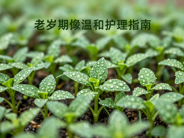 幼苗期弱酸软水养护，老龄期温和护理指南