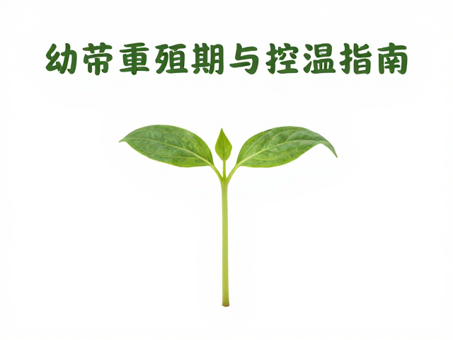幼苗繁殖期温度适应期,新手必看的植物养护与控温指南