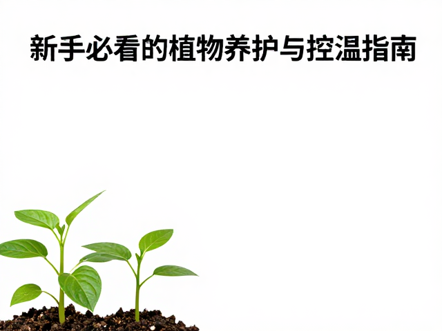 幼苗繁殖期温度适应期，新手必看的植物养护与控温指南