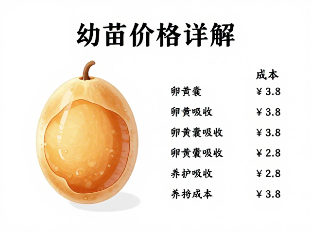 幼苗价格详解，卵黄囊吸收关键期与养护成本