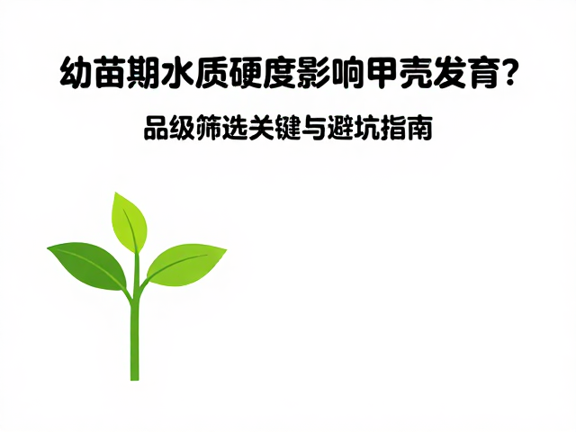幼苗期水质硬度影响甲壳发育？品级筛选关键与避坑指南