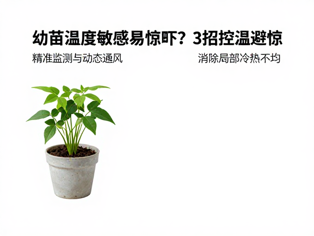 幼苗温度敏感易惊吓？3招控温避惊，新手养植不踩坑指南