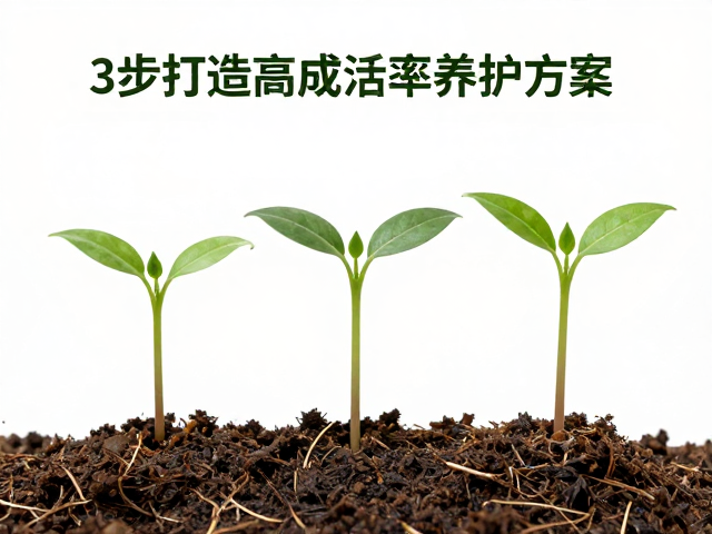 幼苗体型匀称怎么隔离静养？3步打造高成活率养护方案