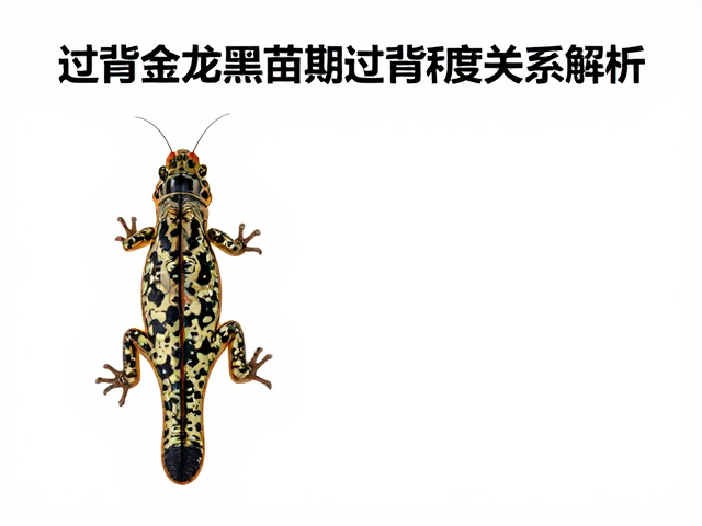 过背金龙黑斑清晰度与幼苗期过背程度关系解析