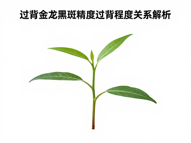 过背金龙黑斑清晰度与幼苗期过背程度关系解析