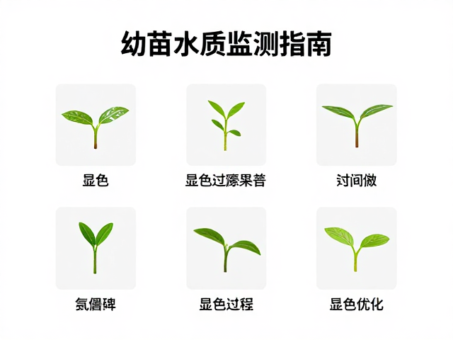 幼苗水质监测指南，显色过程记录与优化