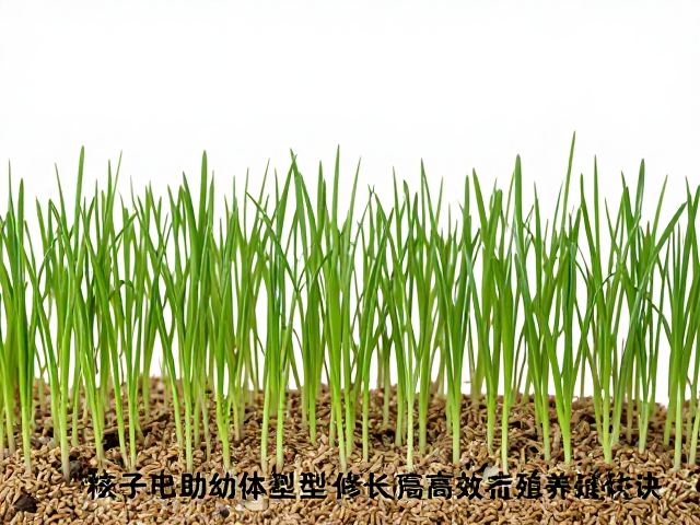 微粒子饲料助幼苗体型修长，揭秘高效养殖秘诀