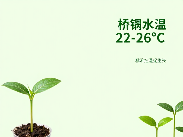 幼苗适宜水温22-26&deg;C，精准控温促生长