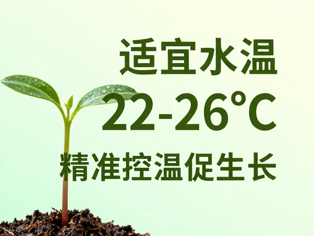 幼苗适宜水温22-26°C,精准控温促生长