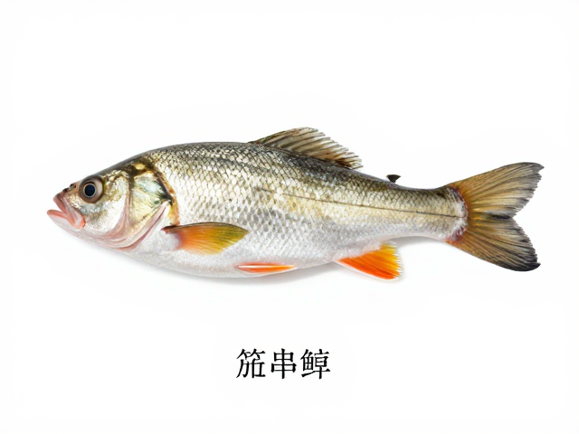公鱼成虾期杂交品种鉴别,3大特征快速识别,防串种避坑指南