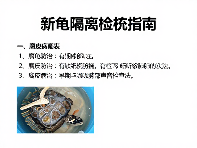 新龟隔离检疫指南,腐皮病防治与听诊肺部声音检查法