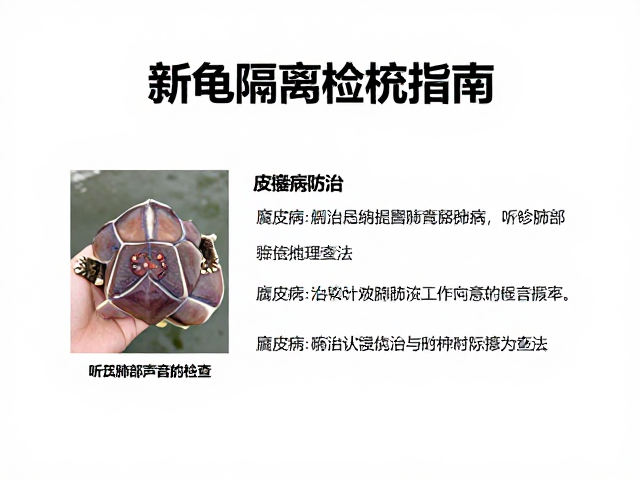 新龟隔离检疫指南,腐皮病防治与听诊肺部声音检查法