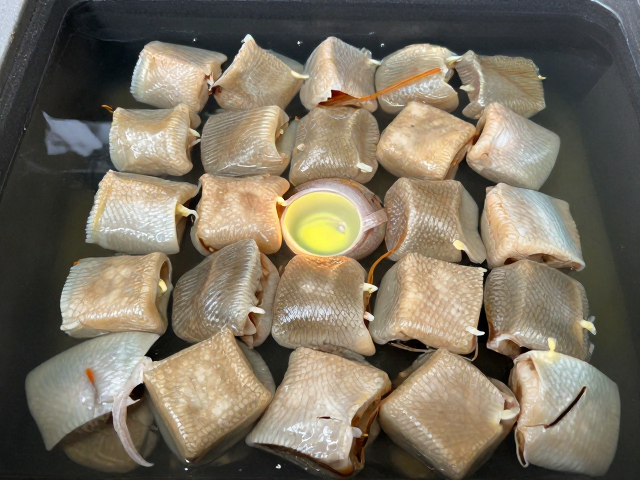 鱼腐皮病防治,紫外线照射与避免过度拥挤的高效方案