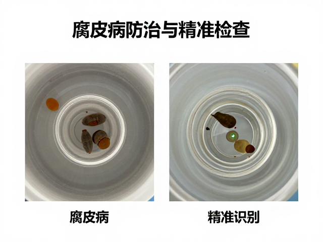 腐皮病防治,显微镜检虫与外观目视检查精准识别法