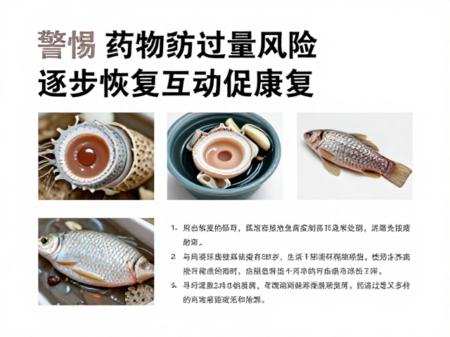 鱼腐皮病防治,警惕药物过量风险,逐步恢复互动促康复
