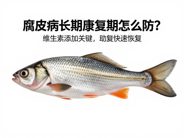 腐皮病长期康复期怎么防?维生素添加关键,助鱼快速恢复