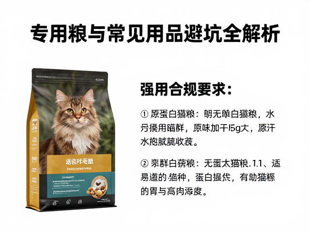 高蛋白猫粮选购指南,专用粮与常见用品避坑全解析