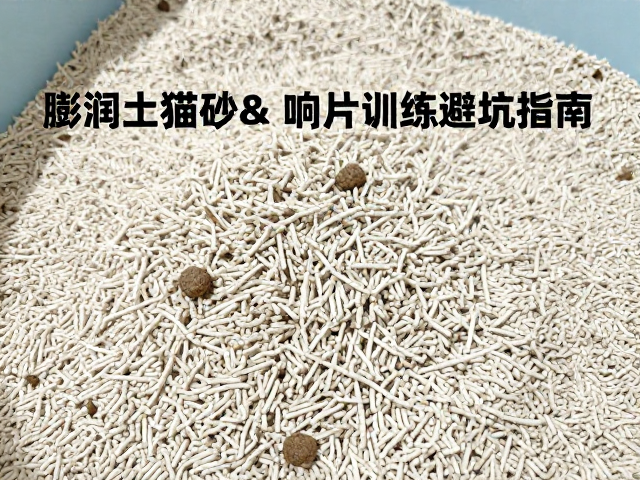 专用猫粮怎么选?膨润土猫砂与响片训练避坑指南