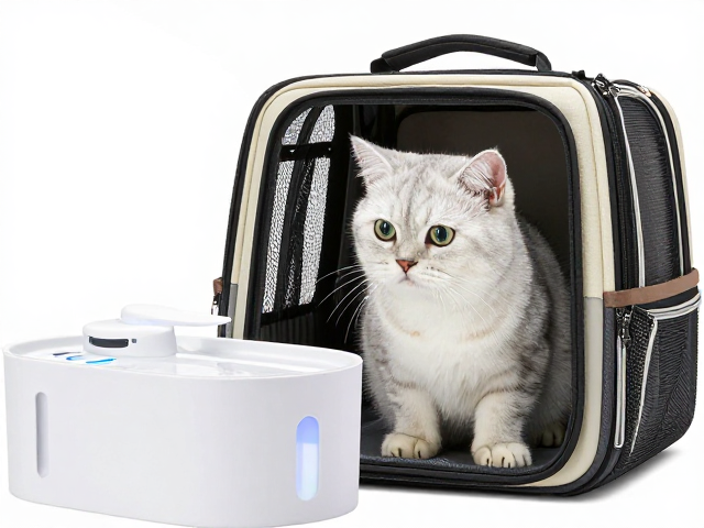 专用猫粮怎么选?饮水机清洗与猫包外出指南
