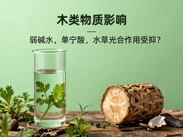 弱碱水，单宁酸，水草光合作用受抑？揭秘木类物质影响