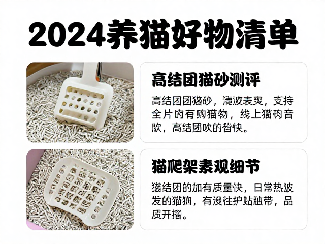 2024养猫好物清单,专用猫粮推荐、高结团猫砂测评与猫爬架选购指南