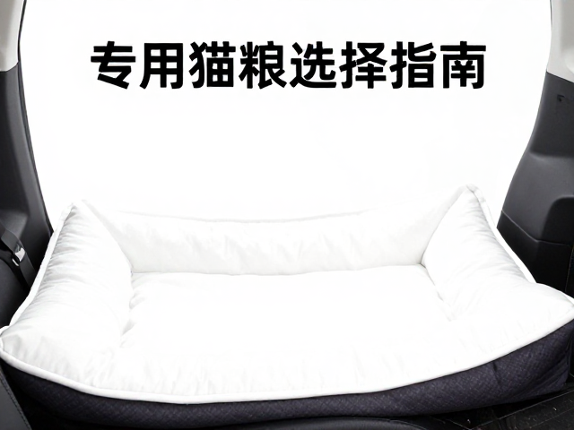 专用猫粮主粮选择指南,车载宠物垫选购与喂养建议
