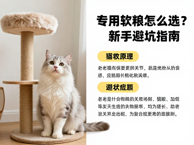 老年猫专用软粮怎么选?搭配猫树更护关节,新手避坑指南