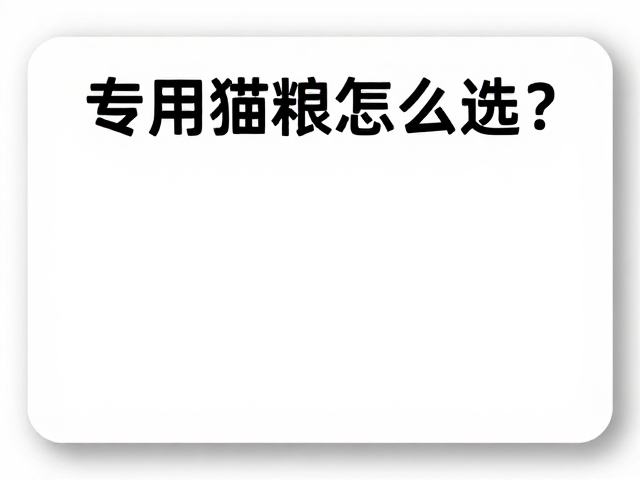 专用猫粮怎么选?身份标识牌与体检套餐搭配指南,守护爱宠健康