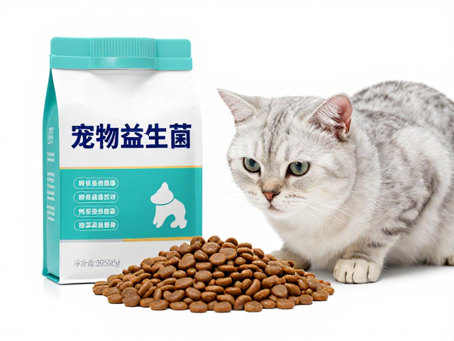 老年猫特殊护理,专用猫粮搭配宠物益生菌,守护银发猫健康