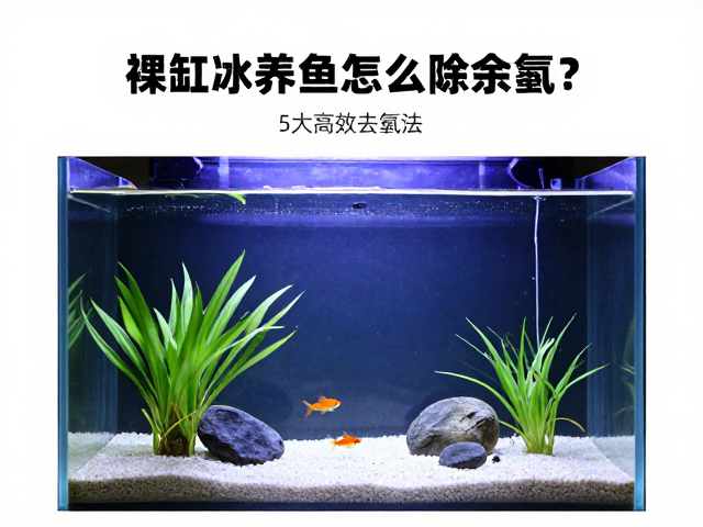 裸缸大水体养鱼怎么除余氯？5大高效去氯法