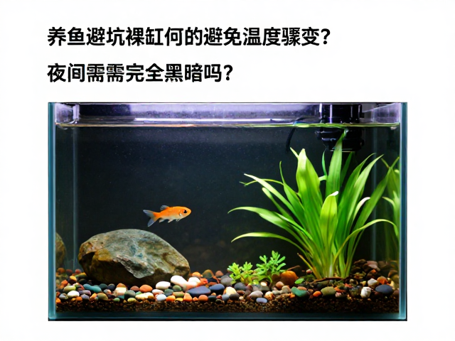养鱼避坑，裸缸如何避免温度骤变？夜间需完全黑暗吗？