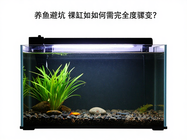 养鱼避坑，裸缸如何避免温度骤变？夜间需完全黑暗吗？
