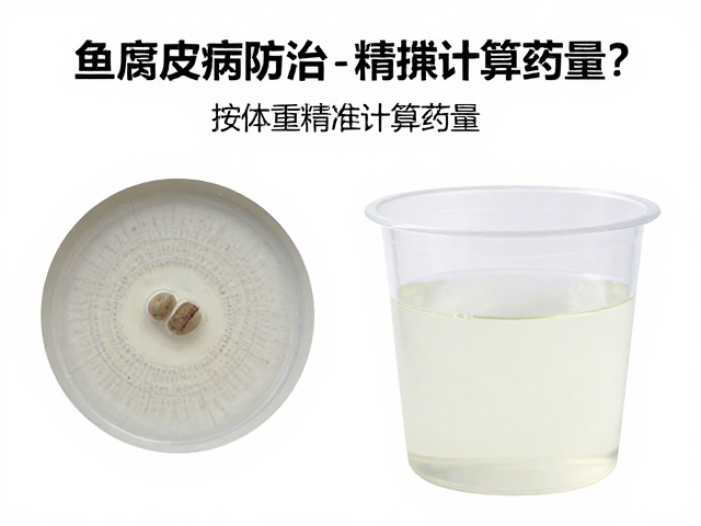 鱼腐皮病防治,显微镜检虫后,如何按体重精准计算药量?