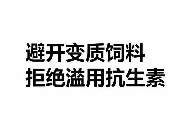 腐皮病防治,避开变质饲料,拒绝滥用抗生素