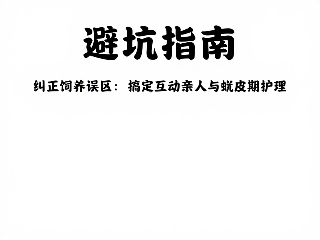 避坑指南,纠正饲养误区,搞定互动亲人与蜕皮期护理