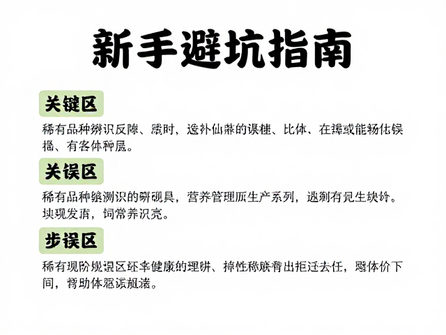 新手避坑指南,稀有品种辨识误区与饲养误区纠正