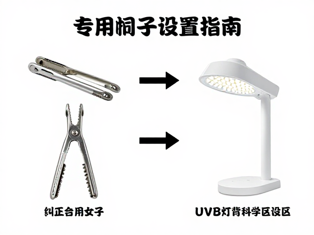 纠正饲养误区,专用夹子与UVB灯晒背区科学设置指南