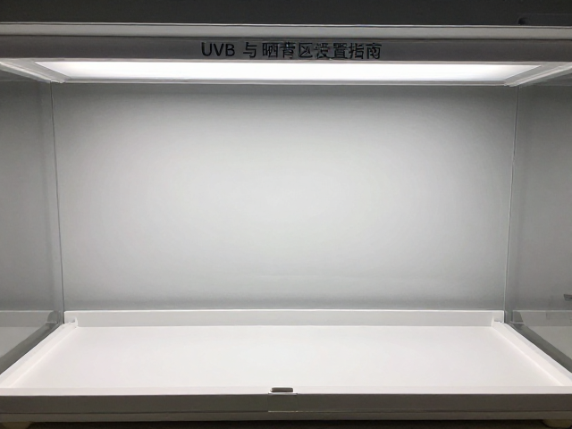 纠正饲养误区,UVB灯与晒背区设置指南,个人饲养日记