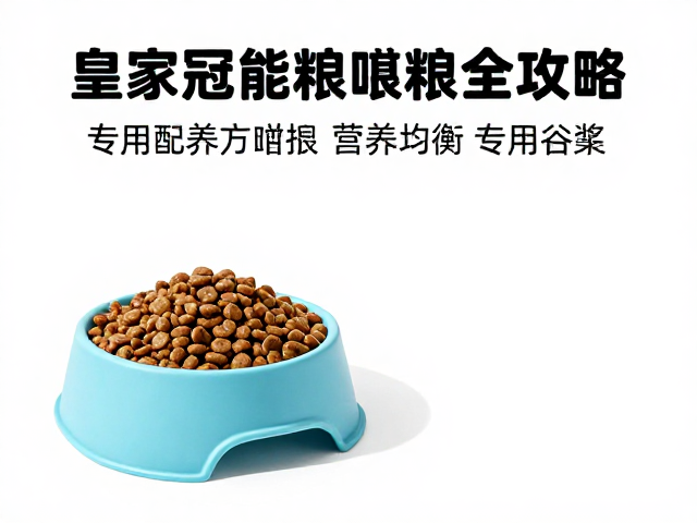 皇家冠能猫粮搭配食品级硅胶碗，专用猫粮喂养全攻略