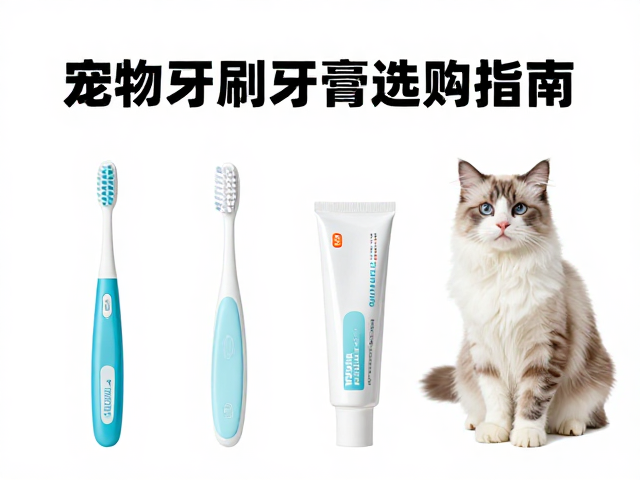 多猫家庭专用猫粮与宠物牙刷牙膏选购指南,健康养宠不踩坑