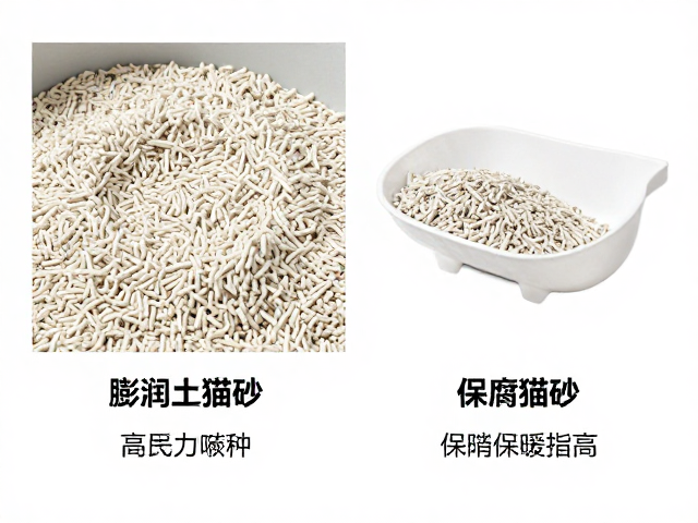 专用猫粮怎么选?膨润土与豆腐猫砂对比,搭配保暖垫养猫指南