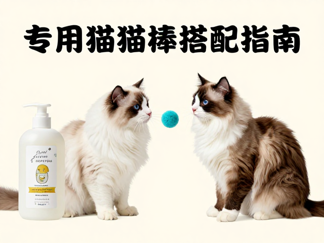 专用猫粮怎么选?洗澡沐浴露护毛素与逗猫棒搭配指南