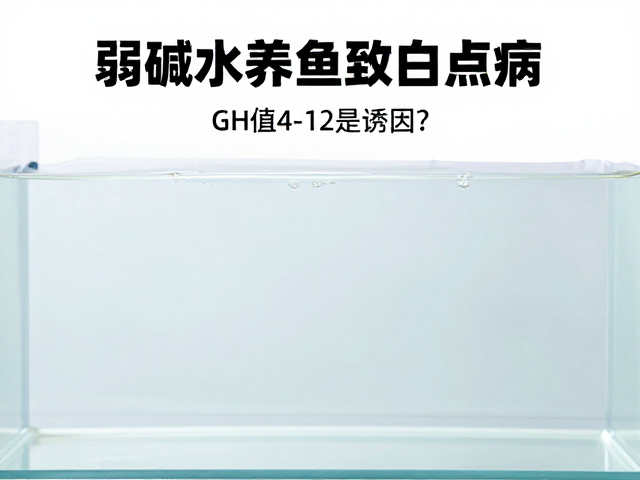 弱碱水养鱼致白点病？GH值4-12是诱因？