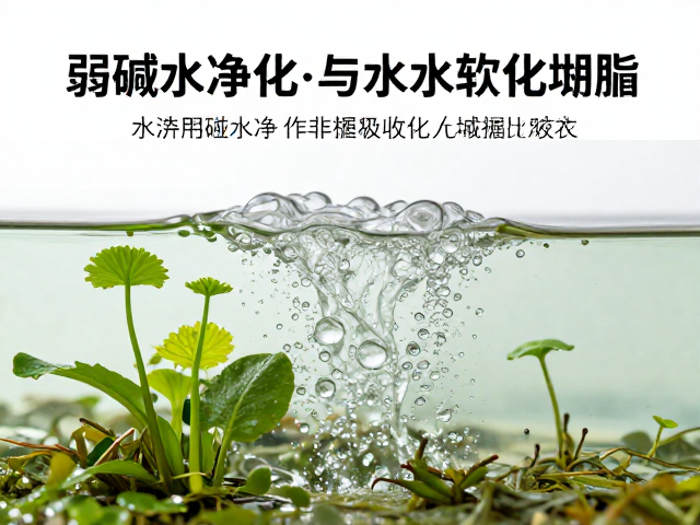 弱碱水净化，利用水生植物吸收与水质软化树脂技术解析