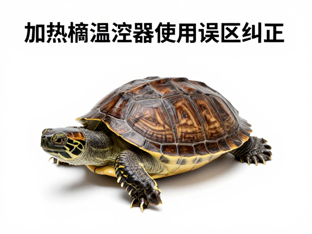 乌龟腐皮烂甲怎么治？加热棒温控器使用误区纠正